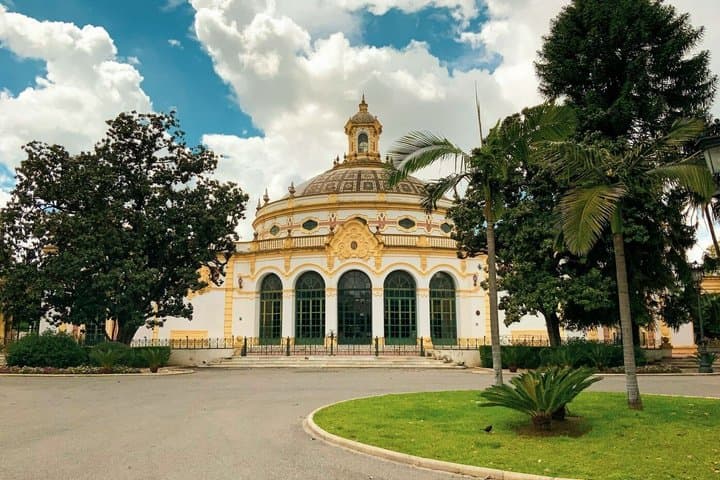 Seville Setas De Sevilla Ticket and City Highlights Audio Tour