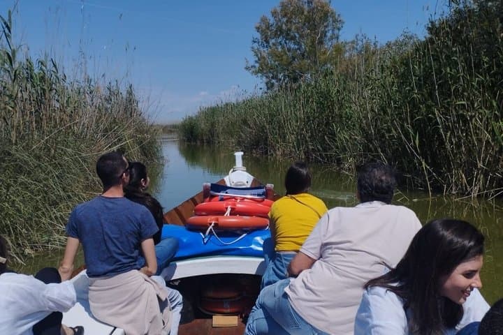 Private Tour Valencia Albufera : Paseo Barca, 4x4, Nature
