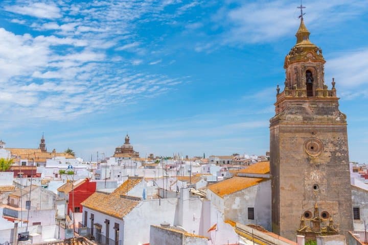 Seville Jewish Quarter and History Private Walking Tour
