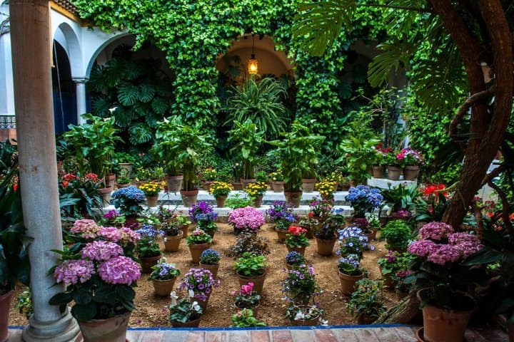 Seville Jewish Quarter and History Private Walking Tour