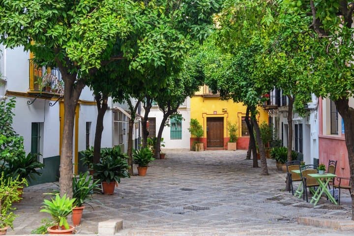 Seville Jewish Quarter and History Private Walking Tour