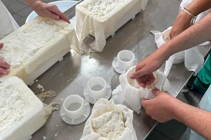Cheese Making Workshop in Fuerteventura with Breakfast