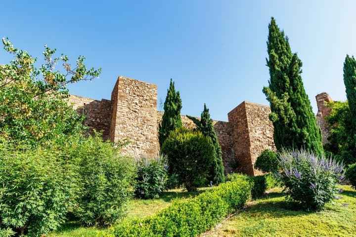 Jewish History Malaga Private Guided Walking Tour