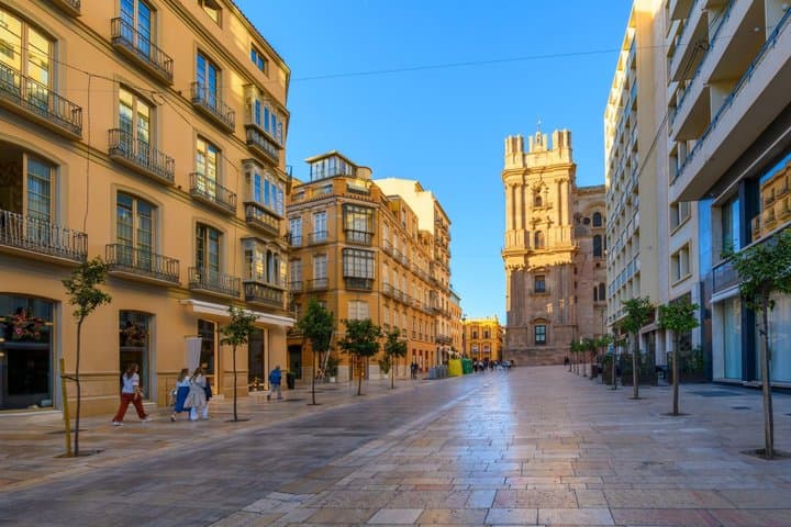 Alcazaba of Malaga Private Skip the Line Guided Tour