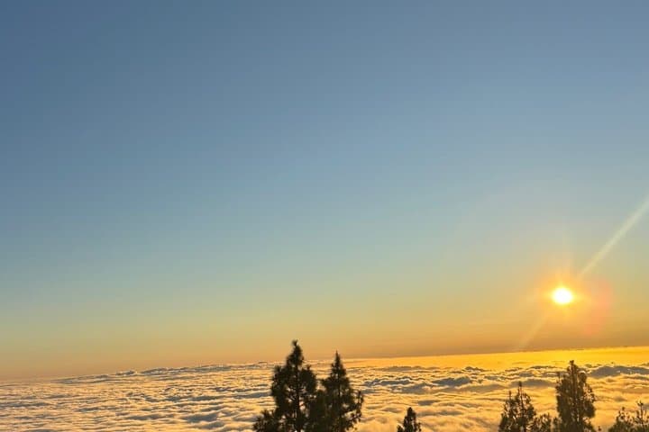 Teide National Park Tour by Minibus