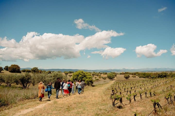 2-Day Small Group Tour: Toledo, Segovia & Ávila from Madrid