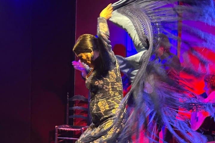 Flamenco Show with Premium Iberian Ham in Seville