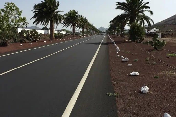 E-Road Bike Tour Lanzarote in El Golfo Green Lagoon