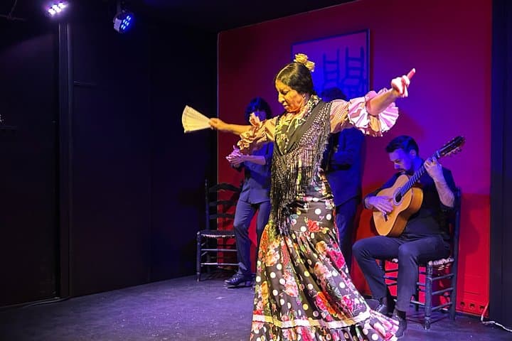 Flamenco Show at Tablao Alvarez Quintero in Seville