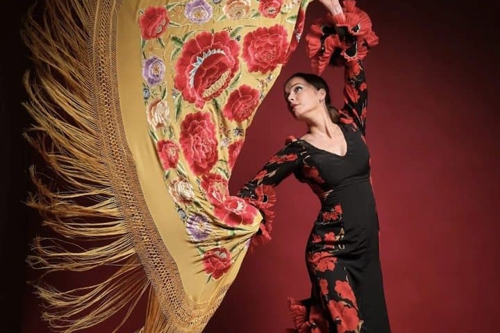 Flamenco Fusion Show with Tapas and Drinks in Salou