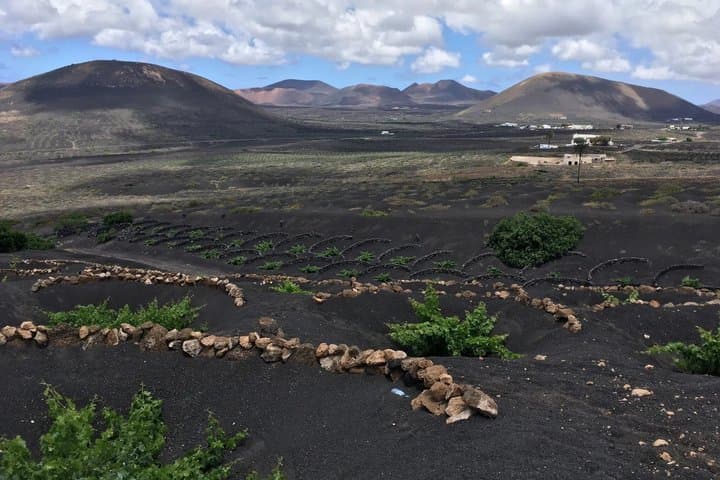 E MTB Tour Volcanic Views and Playa Quemada Coast