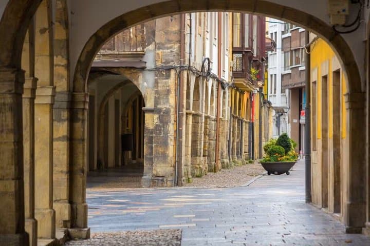 Private Tour of Aviles