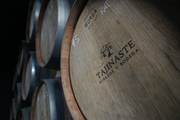 Volcanic Wine Tour: Heritage Vineyards & Tasting at Tenerife