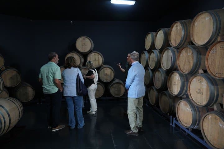 Volcanic Wine Tour: Heritage Vineyards & Tasting at Tenerife
