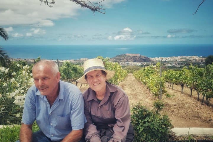 Volcanic Wine Tour: Heritage Vineyards & Tasting at Tenerife