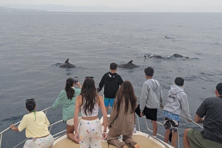 2 hours Private Yacht trip drinks and dolphin from Fuengirola