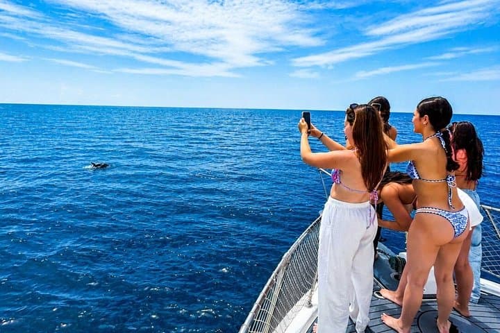 Private Dolphin Search Yacht Experience - Cava & Snacks