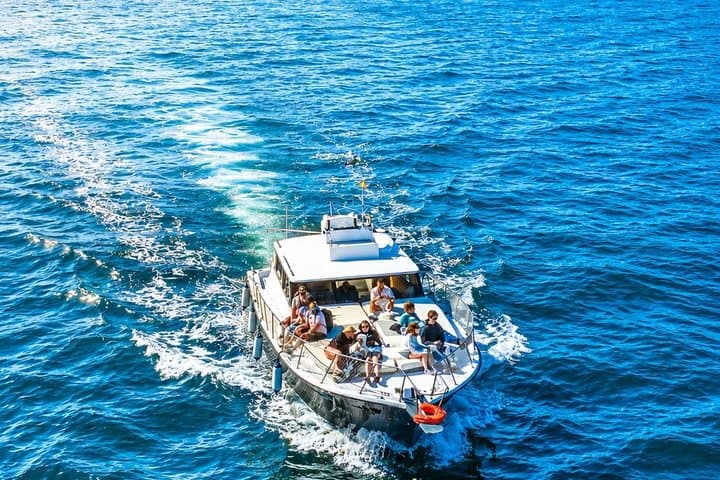 Private Dolphin Search Yacht Experience - Cava & Snacks