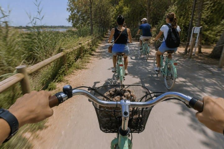 Valencia Albufera E-Bike Tour: The Park Most Visitors Miss