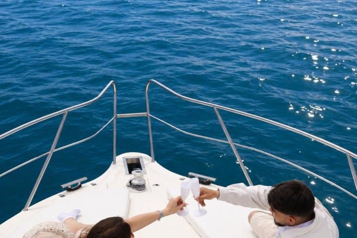 Dolphin Watching on Luxury Yacht with Premium Drink