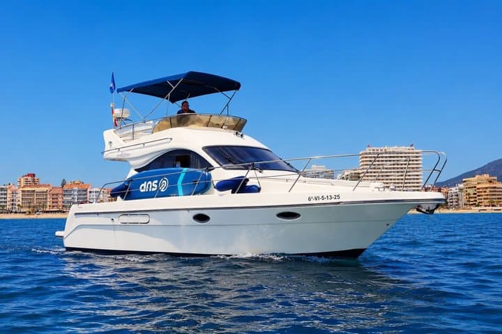 Dolphin Watching on Luxury Yacht with Premium Drink