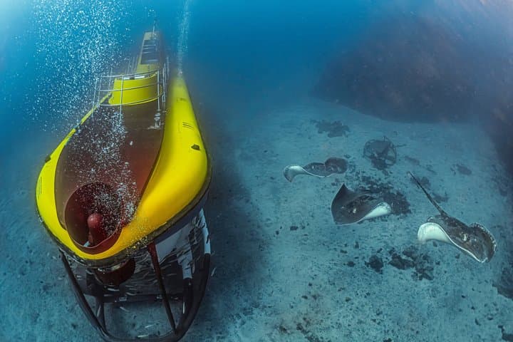 Tenerife Submarine Day Trip with Puerto de la Cruz Pickup