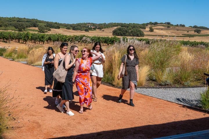 Ribera del Duero Wineries Guided Tour & Wine Tasting from Madrid