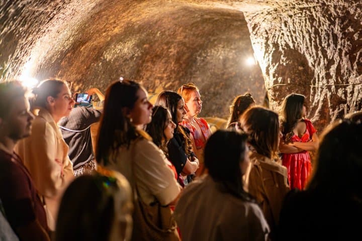 Ribera del Duero Wineries Guided Tour & Wine Tasting from Madrid