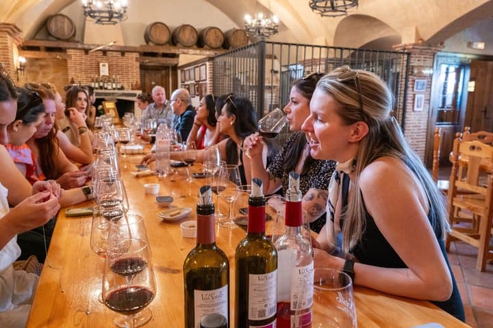 Ribera del Duero Wineries Guided Tour & Wine Tasting from Madrid