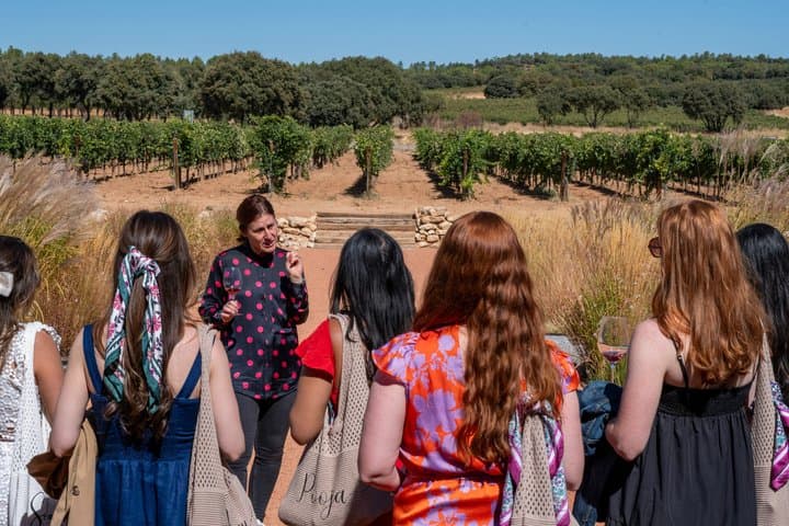 Ribera del Duero Wineries Guided Tour & Wine Tasting from Madrid
