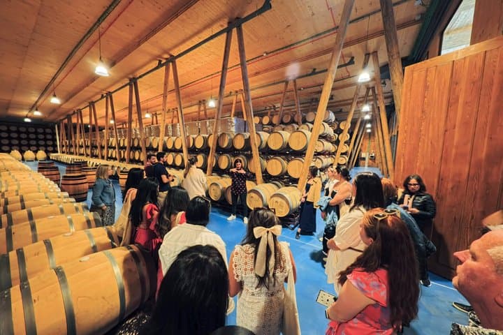 Ribera del Duero Wineries Guided Tour & Wine Tasting from Madrid