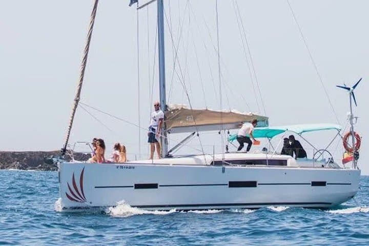 Private Charter: Whale and Dolphin Watching (Max. 11 people)