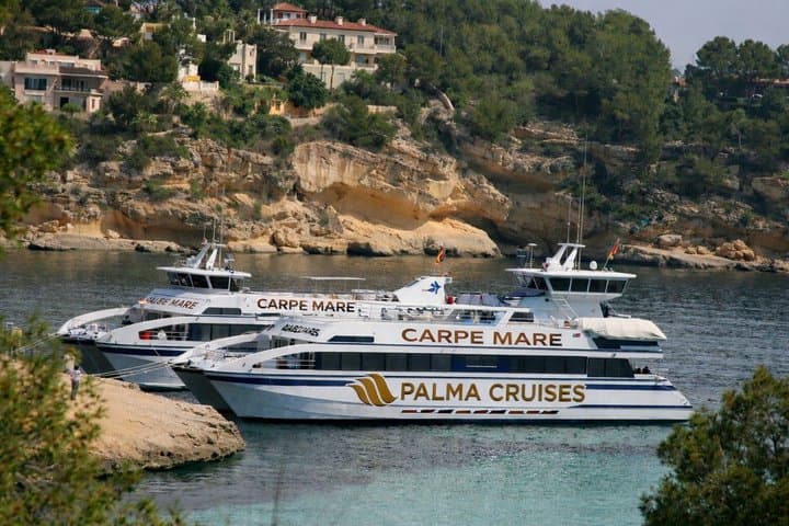 5-hours Palma Catamaran Cruise