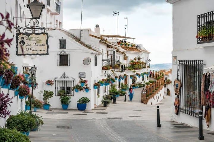 Mijas and Marbella with Puerto Banús and Colomares Castle Tour