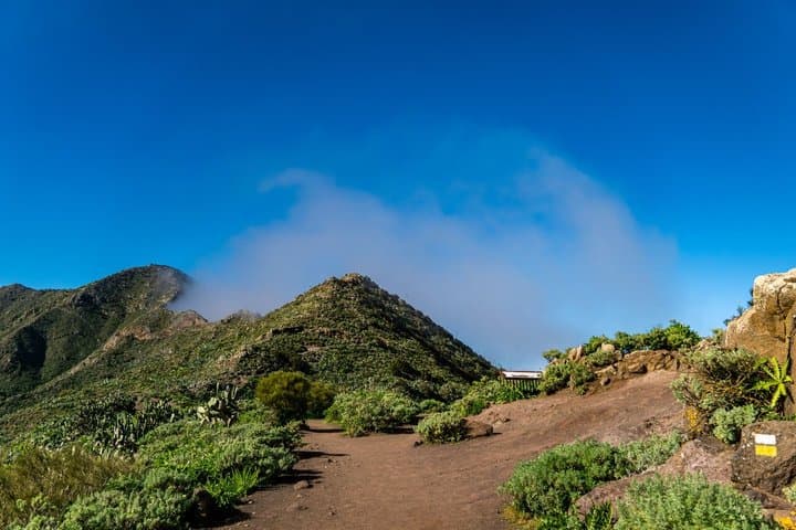 Tenerife Highlights Giants & Masca Coastal Cliffs