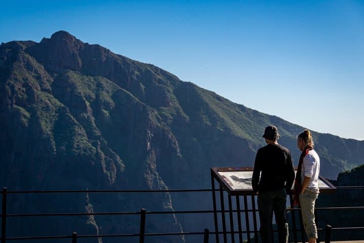 Tenerife Highlights Giants & Masca Coastal Cliffs