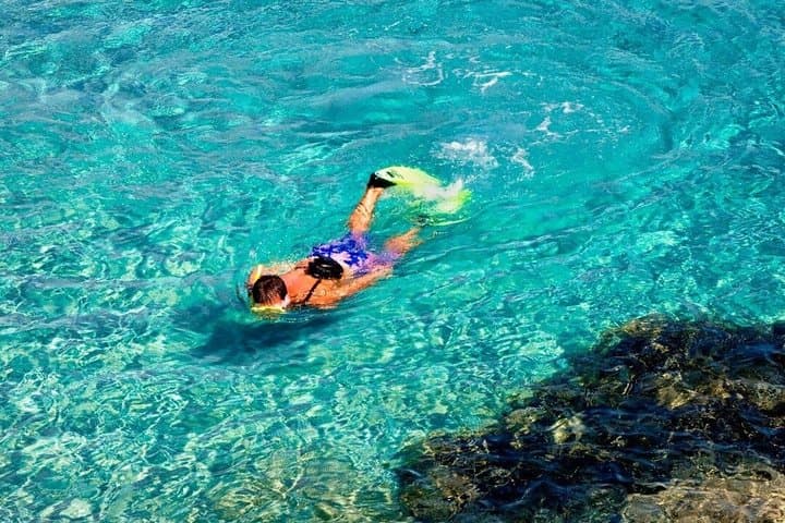 Tabarca Island and Santa Pola Day Trip from Murcia