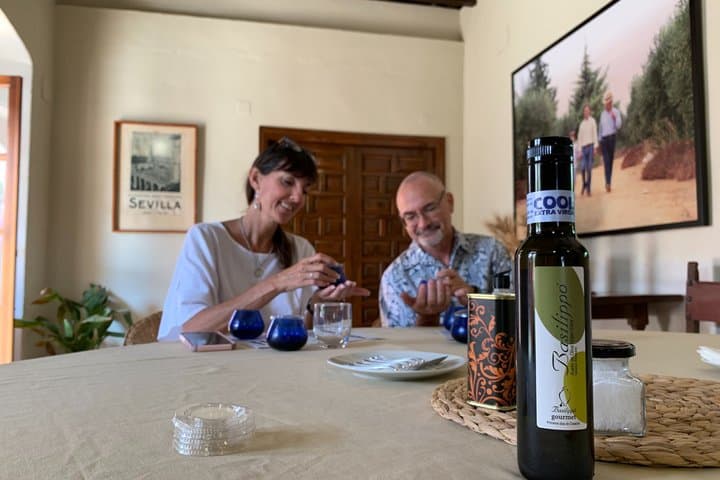 English Olive Oil Tour in Seville