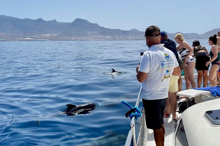 Most Famous Catamaran in Tenerife Island - Unlimited Drinks