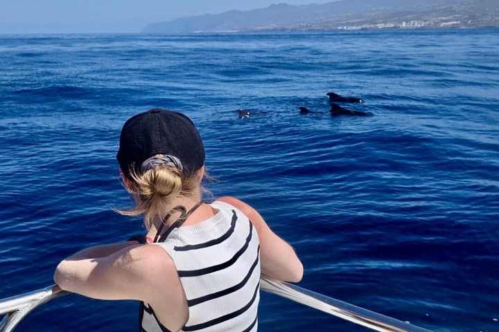 Most Famous Catamaran in Tenerife Island - Unlimited Drinks