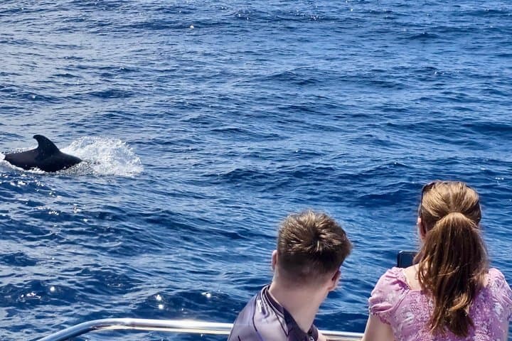 Most Famous Catamaran in Tenerife Island - Unlimited Drinks