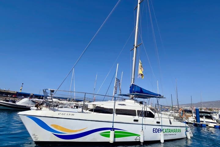 Most Famous Catamaran in Tenerife Island - Unlimited Drinks