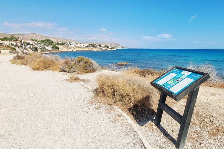 Campello Self Guided Scavenger Hunt and Walking Tour