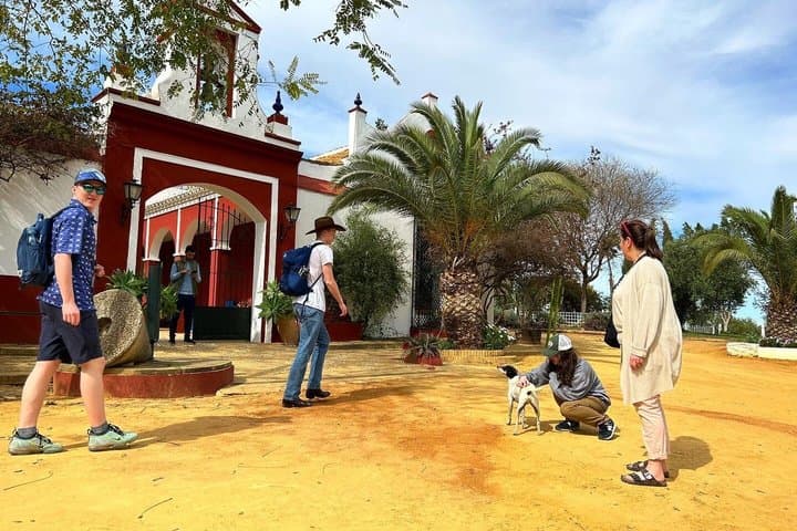 English Olive Oil Tour in Seville