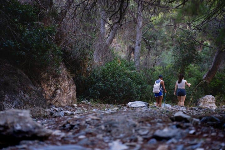 Hiking in the Natural Park of Maro Cerro Gordo