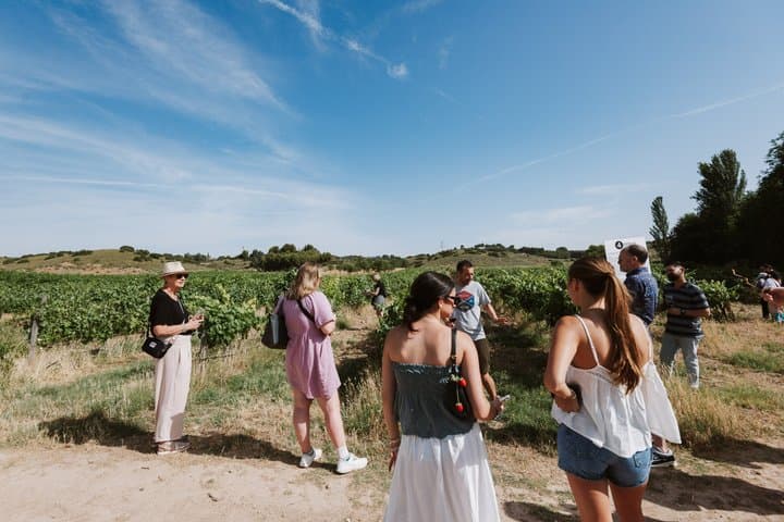 Madrid Countryside Wineries Guided Tour with Wine Tasting