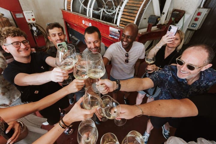 Madrid Countryside Wineries Guided Tour with Wine Tasting