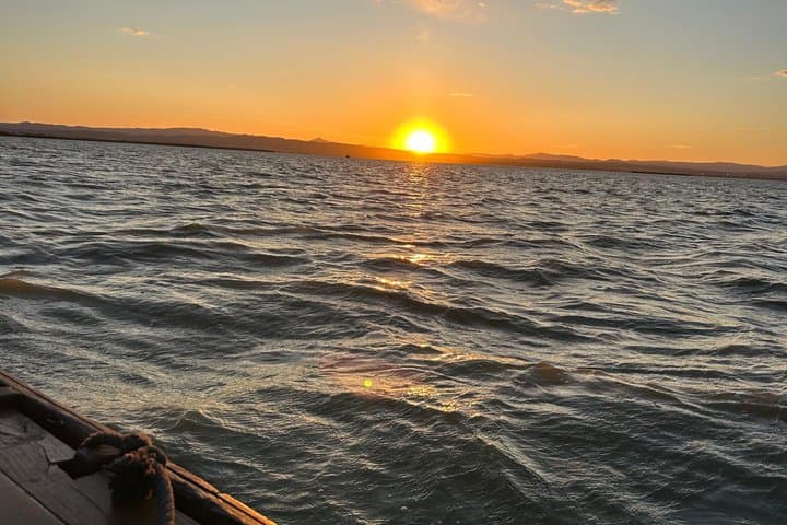 Experience Albufera from Valencia at sunset and boat trip