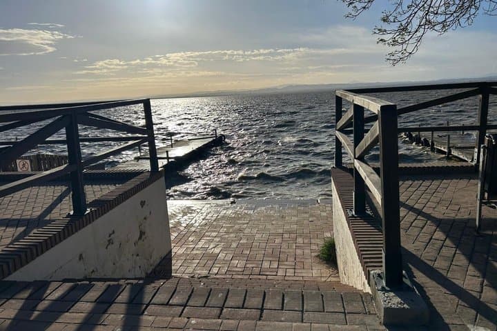 Experience Albufera from Valencia at sunset and boat trip