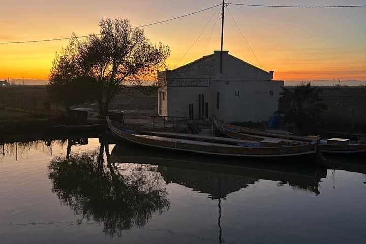 Experience Albufera from Valencia at sunset and boat trip